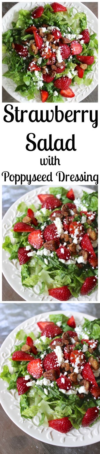 Strawberry Salad with Poppyseed Dressing