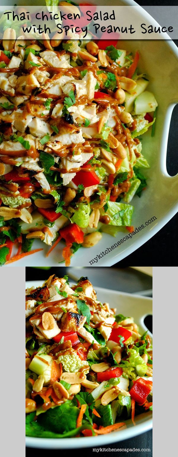 Thai Chicken Salad with Spicy Peanut Sauce