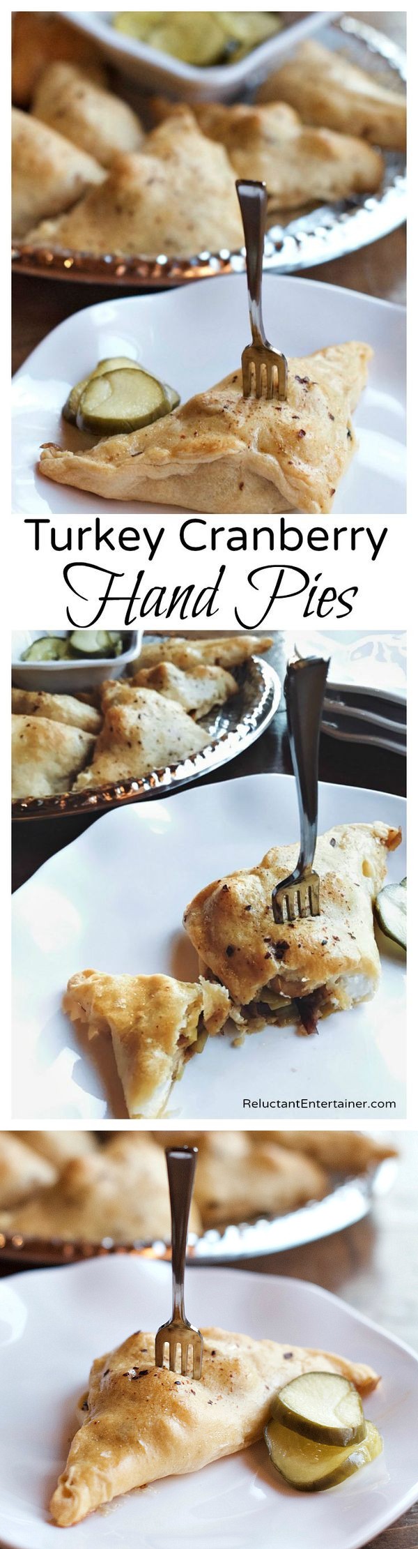 Turkey Cranberry Hand Pies