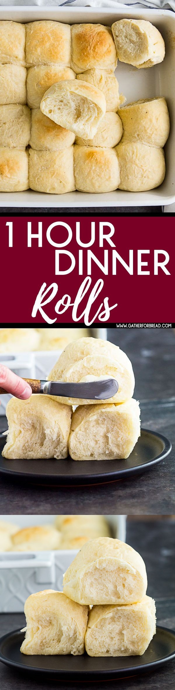 1 Hour Dinner Rolls