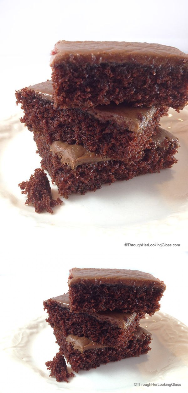 29 Minute Decadent Chocolate Sheet Cake