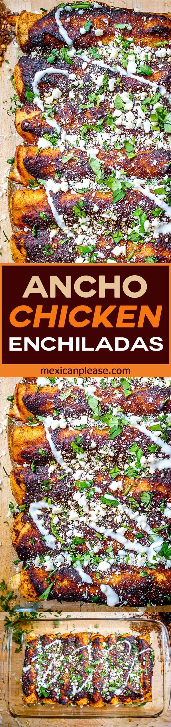 Ancho Chicken Enchiladas