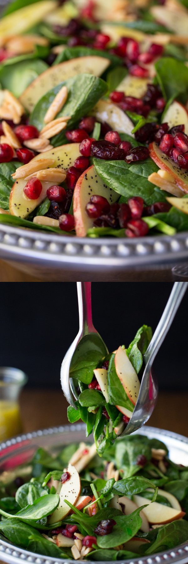 Apple Cranberry Spinach Salad with Honey Cider Dressing