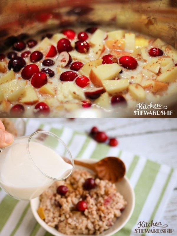 Apple Cranberry Steel Cut Oats (Instant Pot