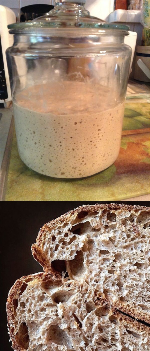 Artisan Sourdough No-Knead Bread