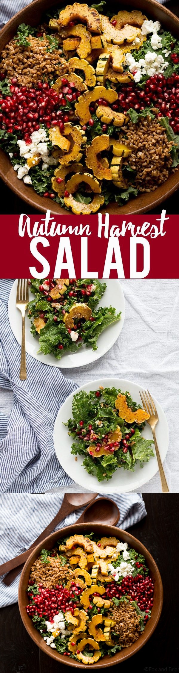 Autumn Harvest Salad with Pomegranates