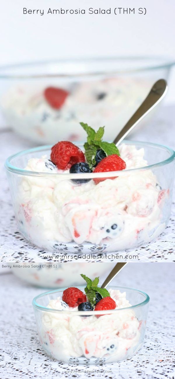 Berry Ambrosia Salad (THM S