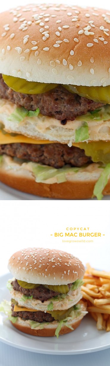 Big Mac Burger