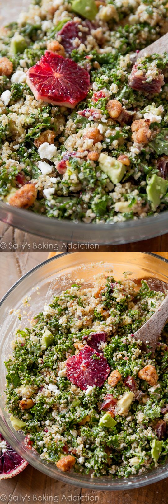 Blood Orange Avocado Quinoa & Kale Salad