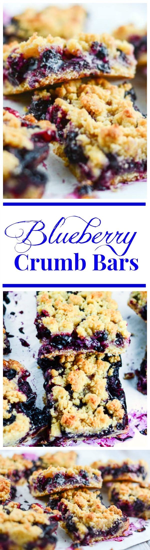 Blueberry Crumb Bars