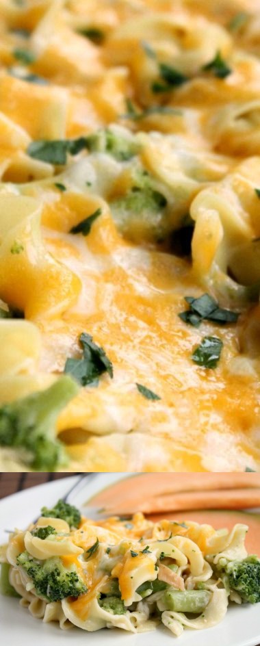 Broccoli Chicken Casserole with Egg Noodles