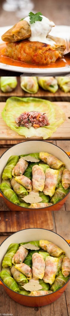 Cabbage Rolls 