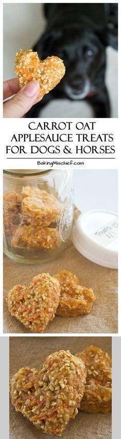 Carrot Oat Applesauce Treats for Dogs and Horses