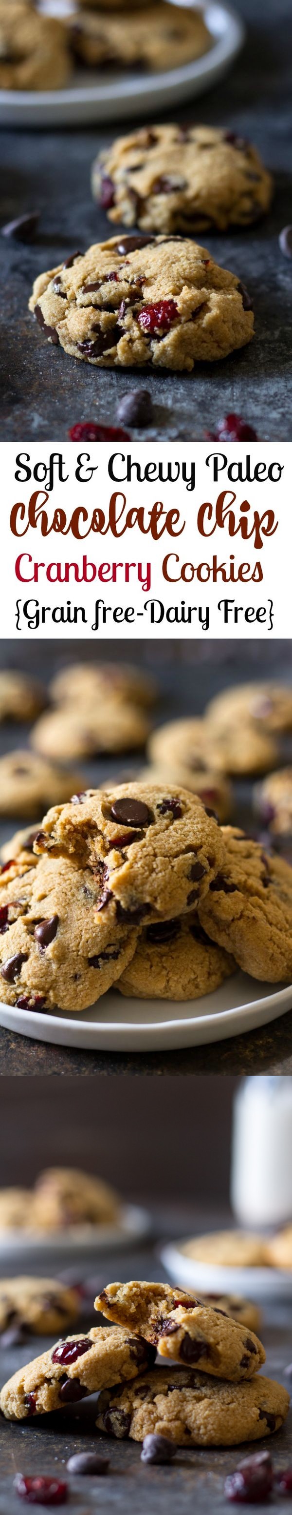 Chewy Chocolate Chip Cranberry Cookies (Paleo