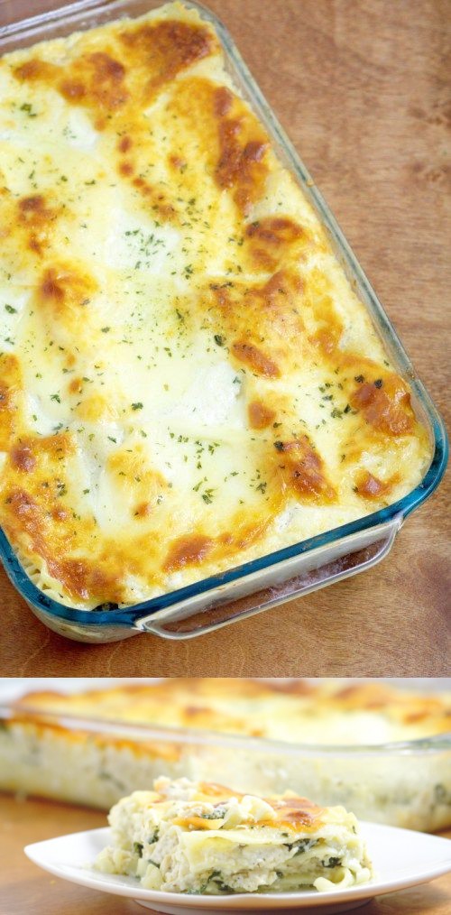 Chicken Alfredo Lasagna