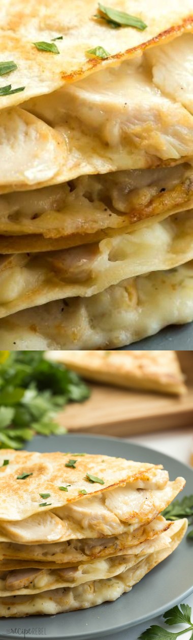 Chicken Alfredo Quesadillas