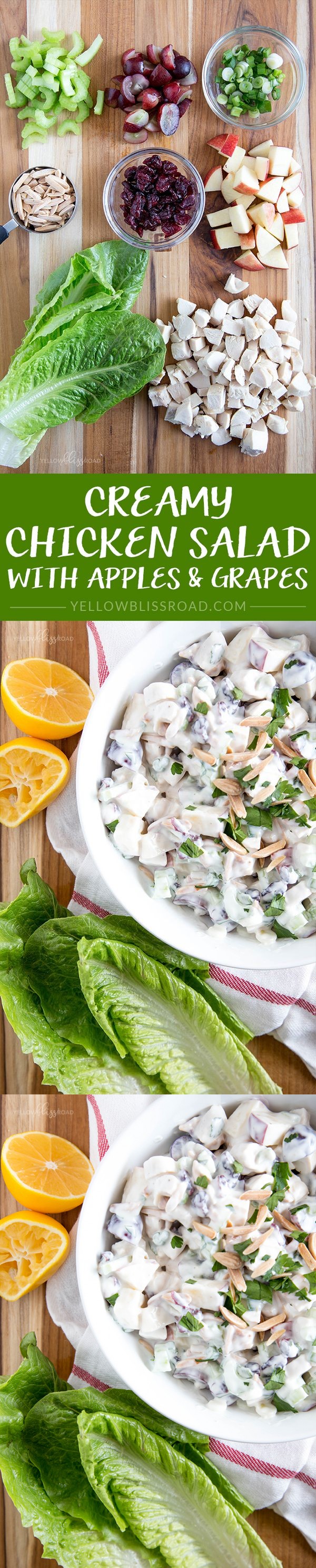 Chicken, Apple & Grape Salad with Creamy Dressing