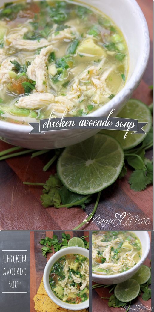 Chicken Avocado Soup