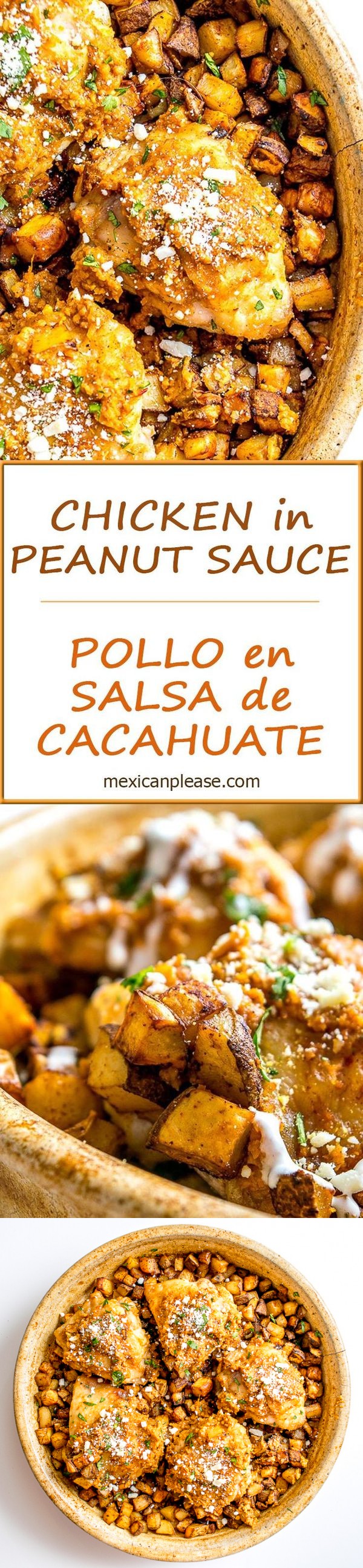 Chicken in Peanut Sauce -- Pollo Encacahuate