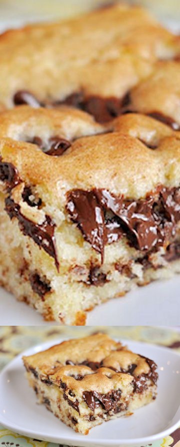 Chocolate Chip Cake