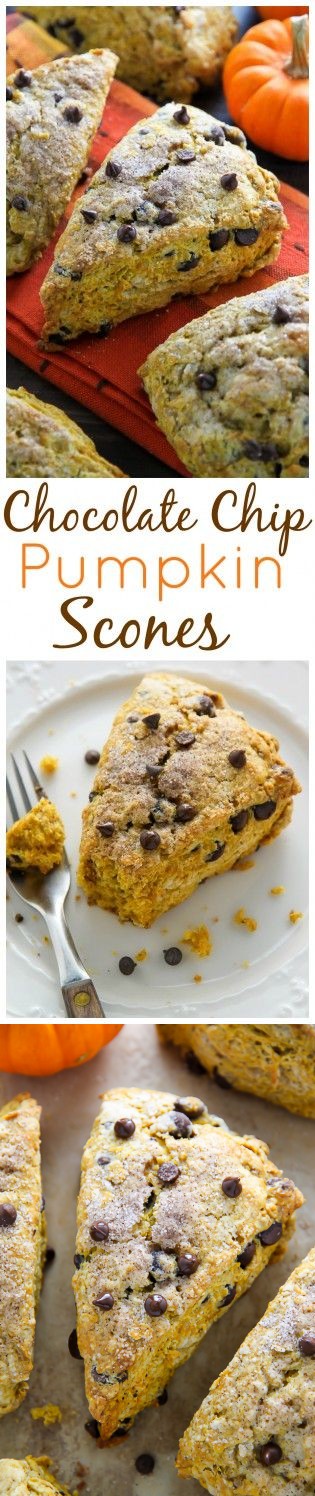 Chocolate Chip Pumpkin Scones