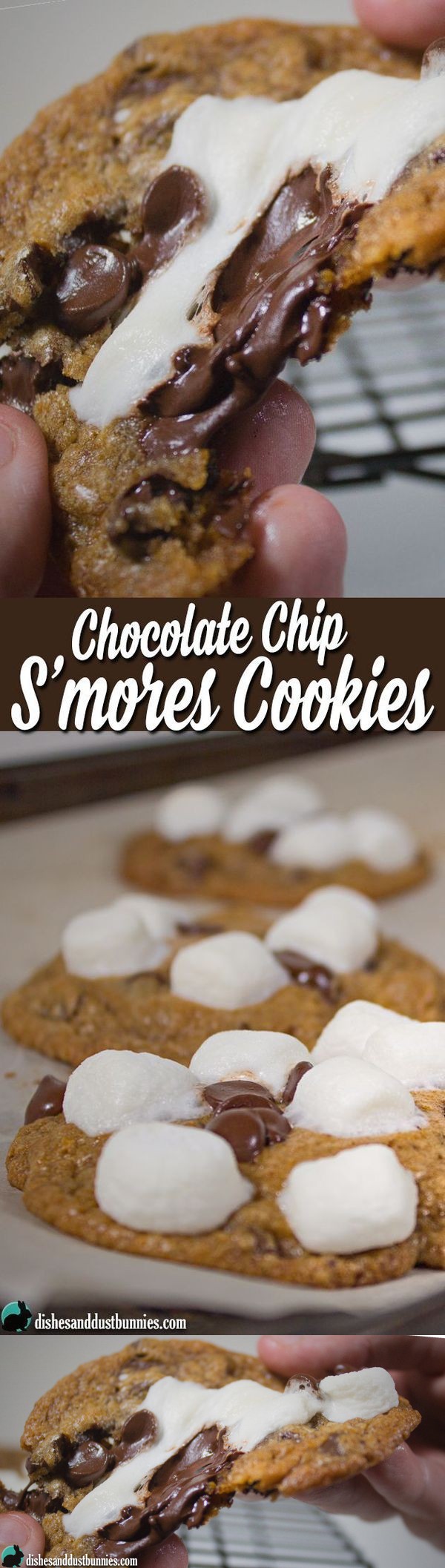 Chocolate Chip S'mores Cookies