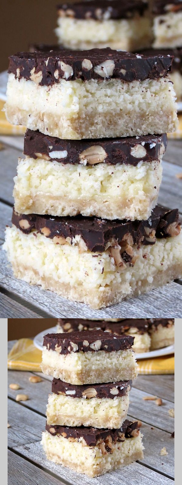 Chocolate Coconut Cookie Bars