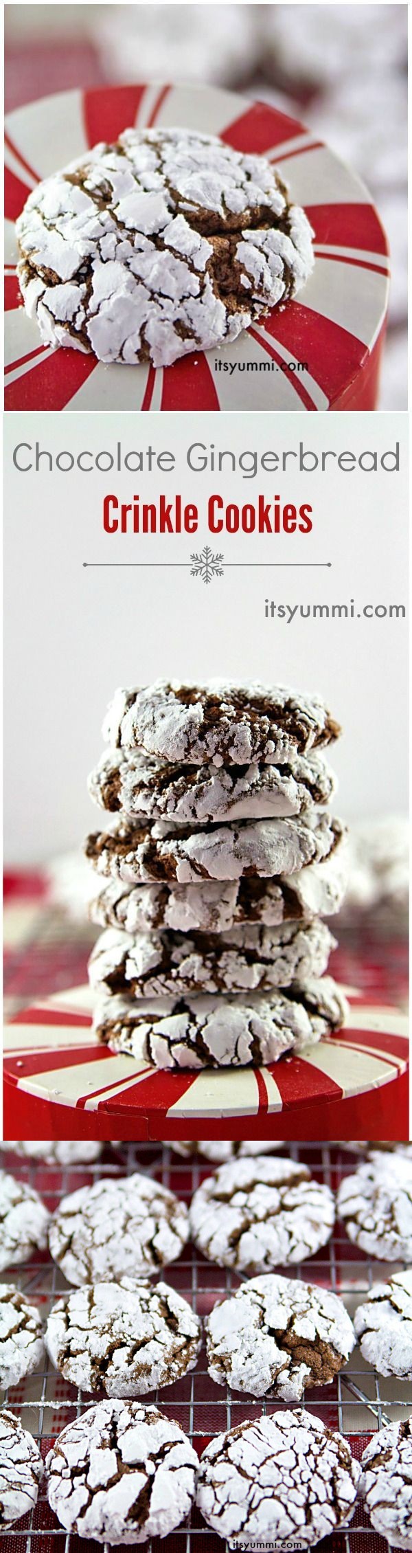 Chocolate Gingerbread Crinkles