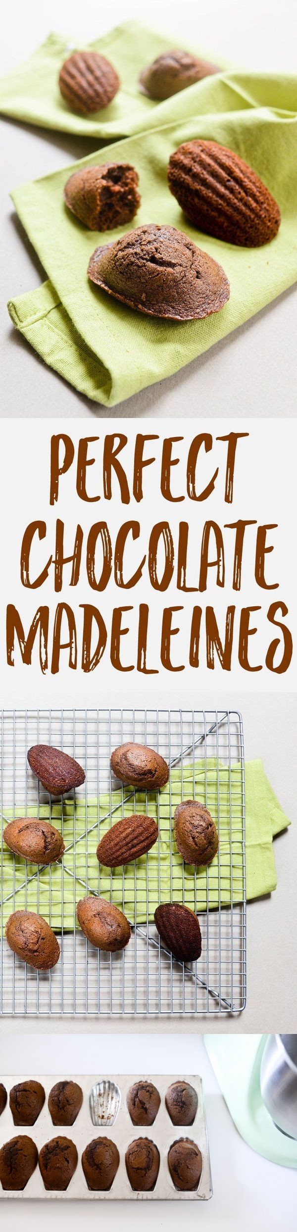 Chocolate Madeleines