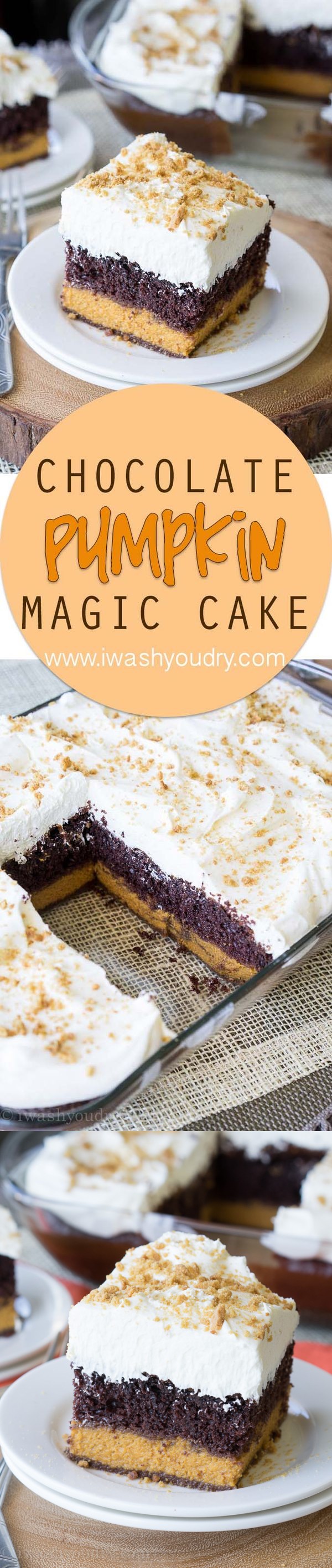 Chocolate Pumpkin Magic Cake