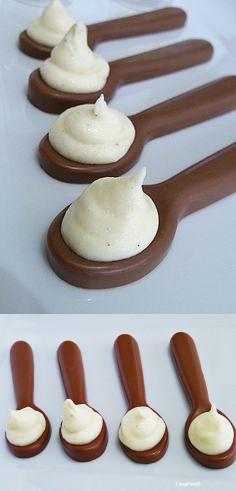 Chocolate Spoons with White chocolate Mousse