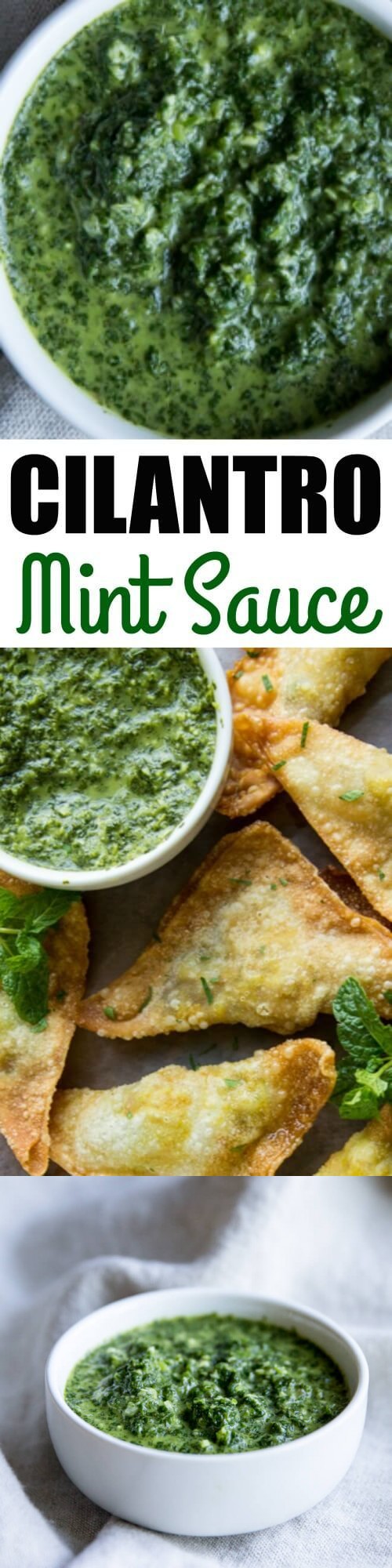 Cilantro Mint Sauce