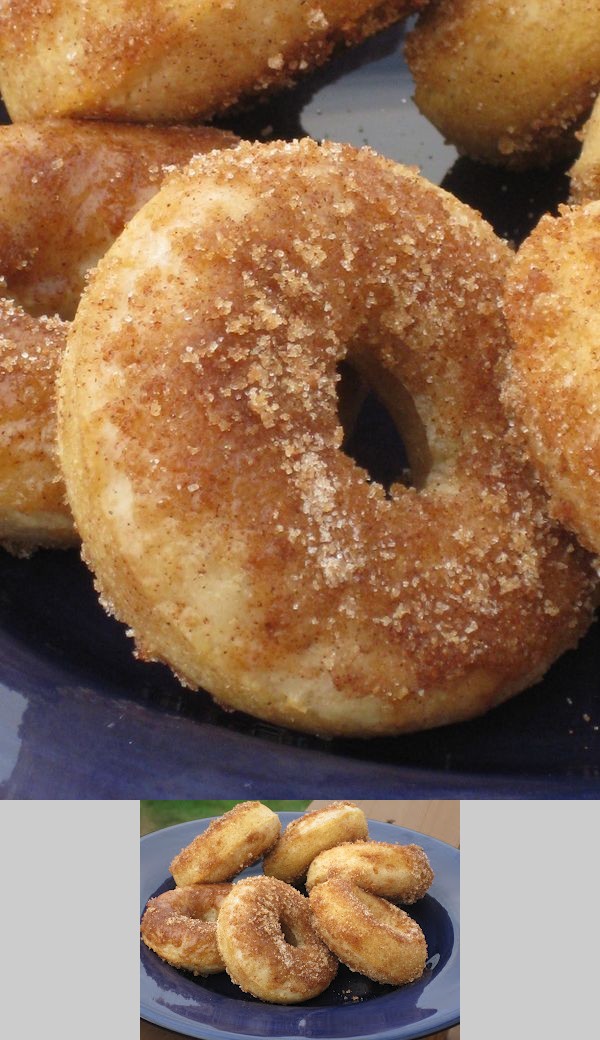 Cinnamon & Sugar Baked Donuts