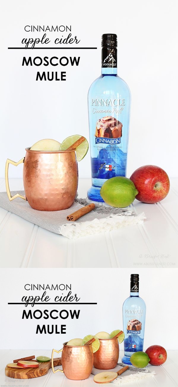 Cinnamon Apple Cider Moscow Mule