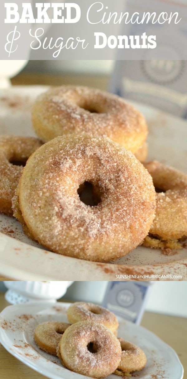 Cinnamon Sugar Baked Donut