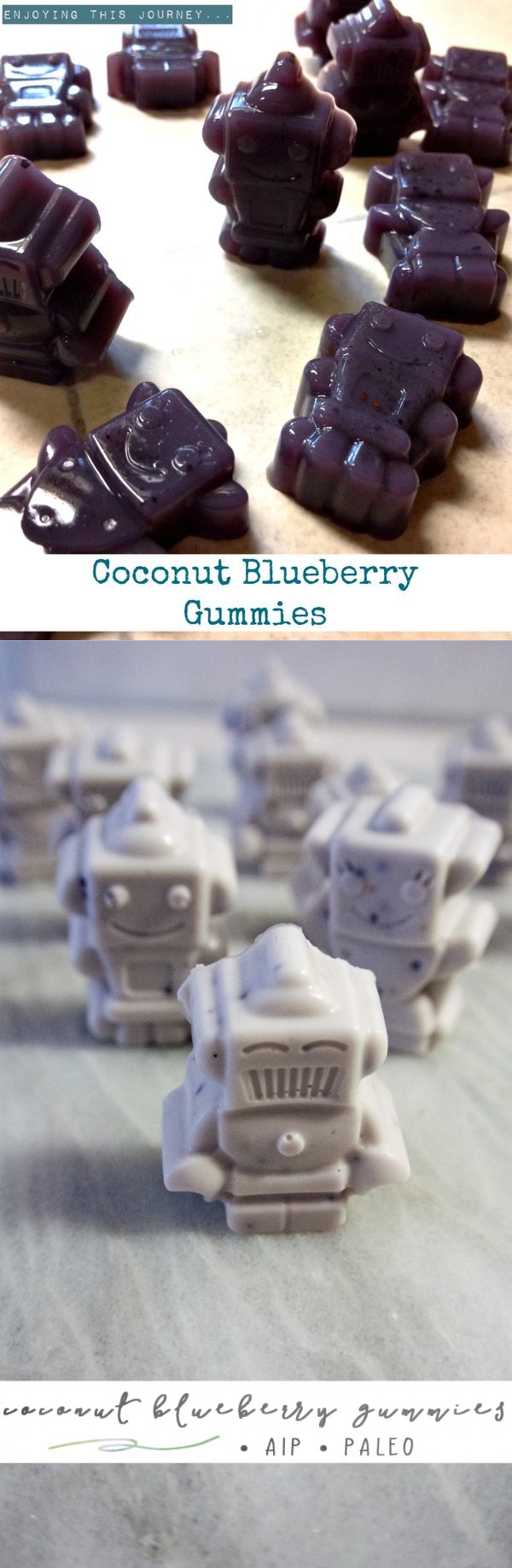 Coconut Blueberry Gummies