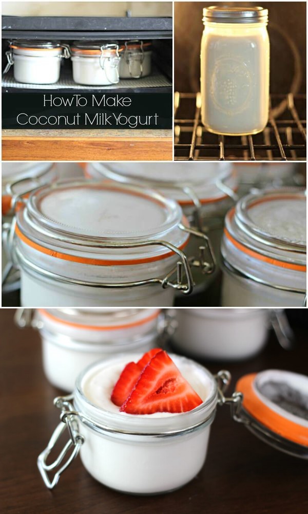 Coconut Milk Yogurt