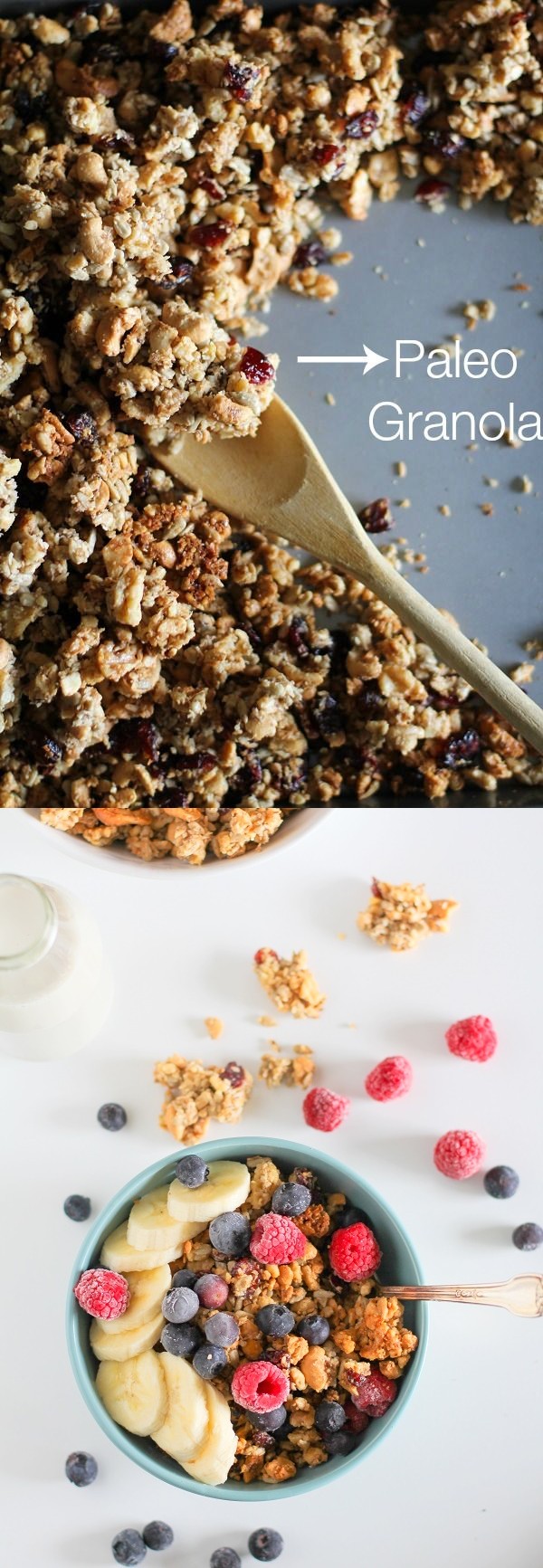 Coconut Walnut Sunflower Seed Paleo Granola