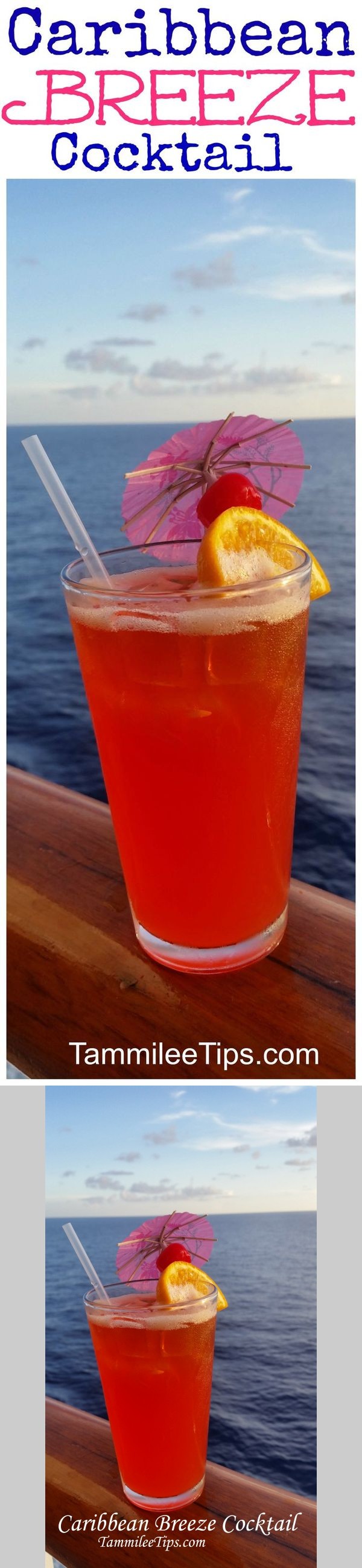 Copy Cat Carnival Caribbean Breeze Cocktail