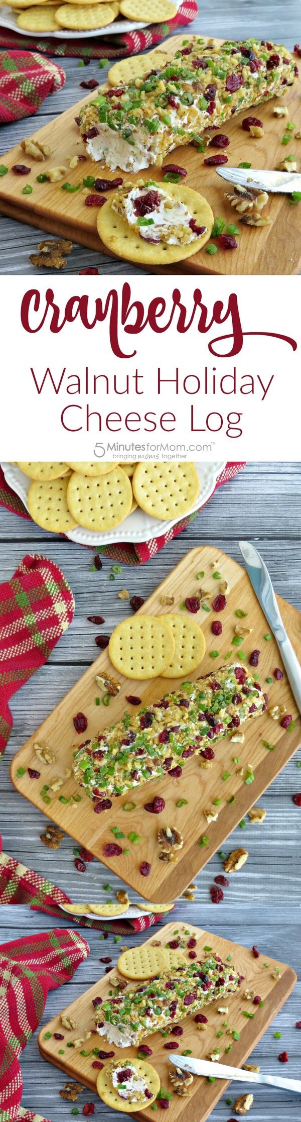 Cranberry Walnut Holiday Cheese Log