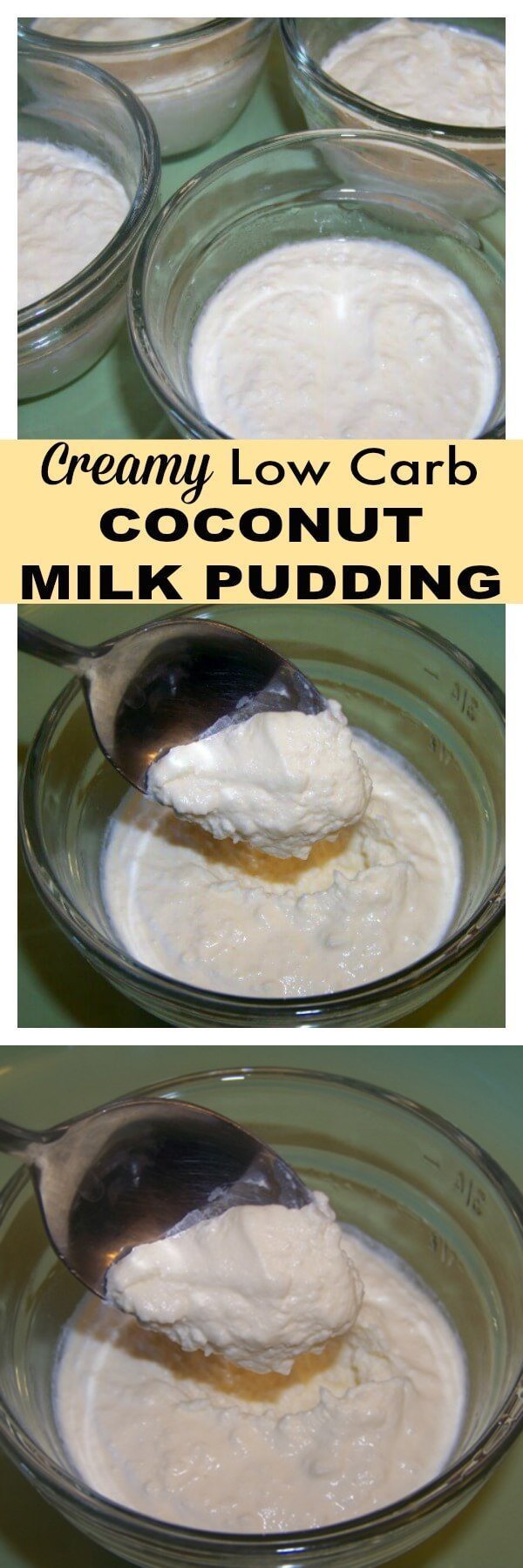 Creamy Coconut Milk Pudding