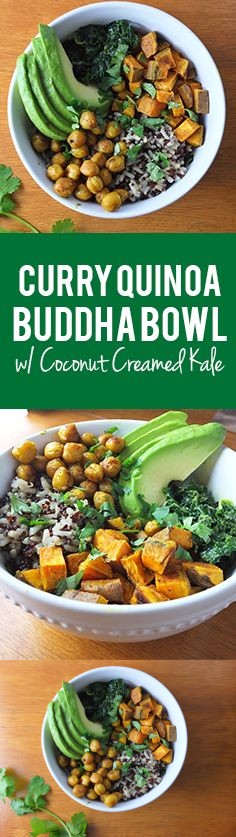 Curry quinoa buddha bowl with coconut creamed kale