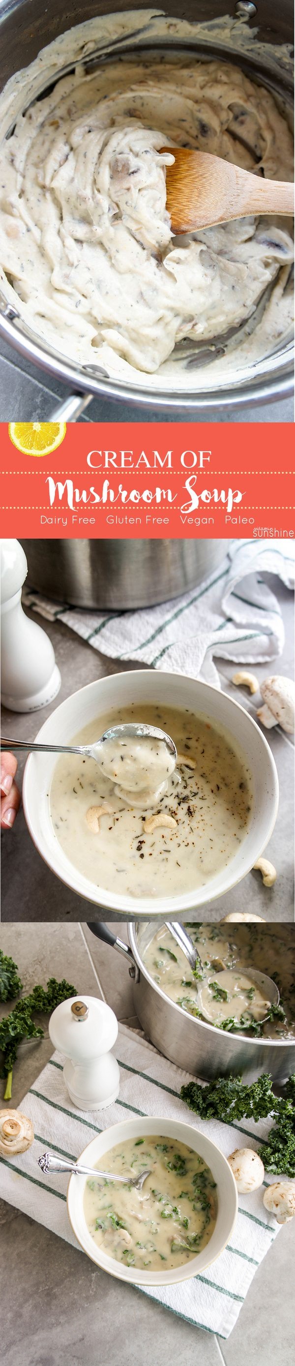 Dairy-Free Cream of Mushroom Soup (directions for condensed!