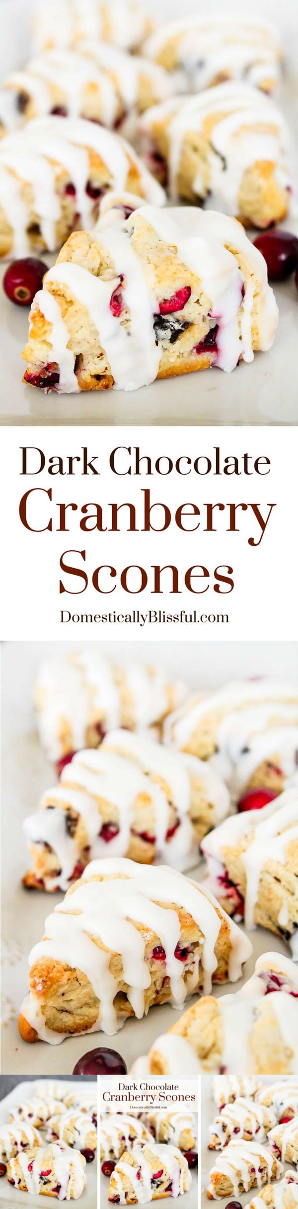 Dark Chocolate Cranberry Scones