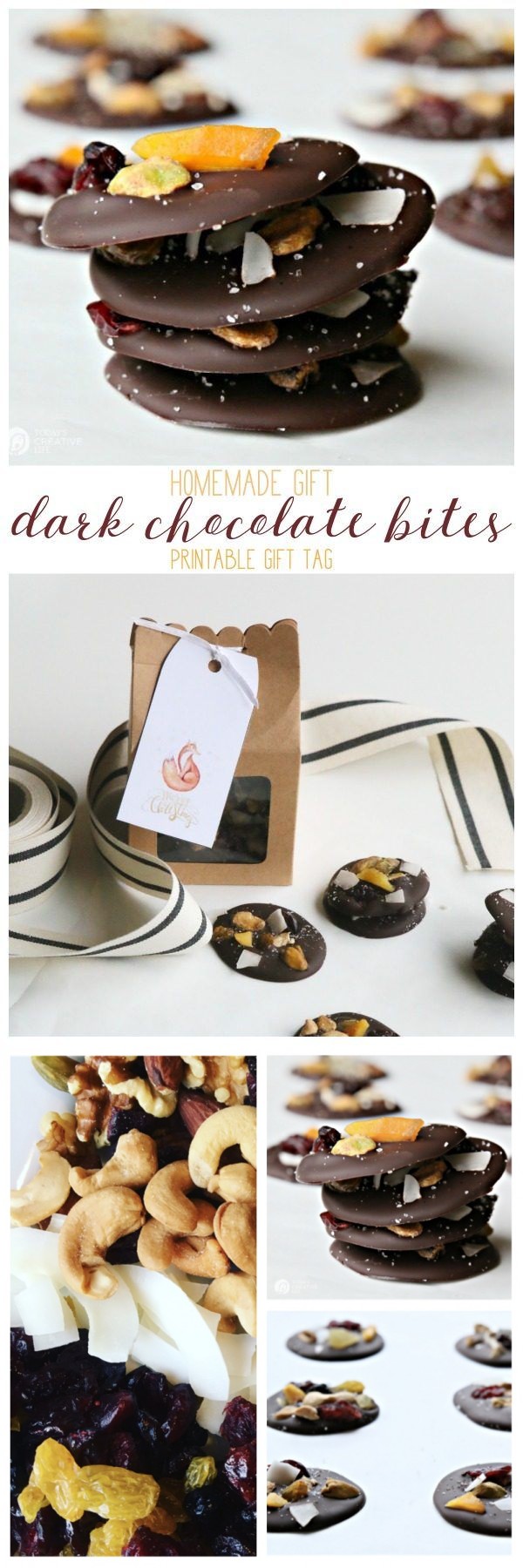 Dark Chocolate Fruit and Nut Bites