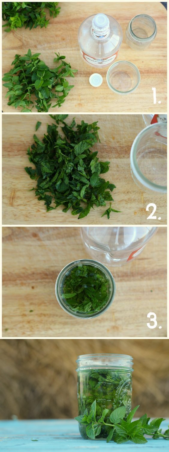 DIY Mint Extract