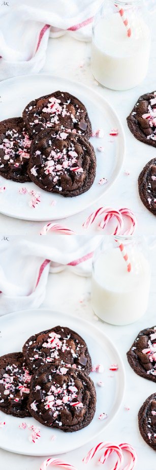 Double Chocolate Peppermint Cookies