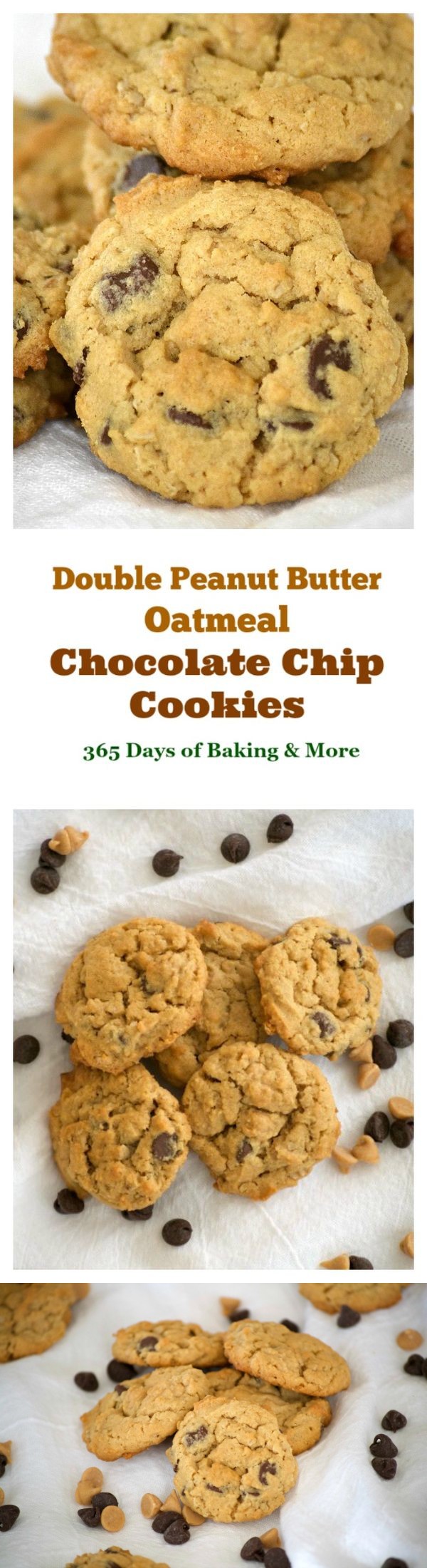 Double Peanut Butter Oatmeal Chocolate Chip Cookies