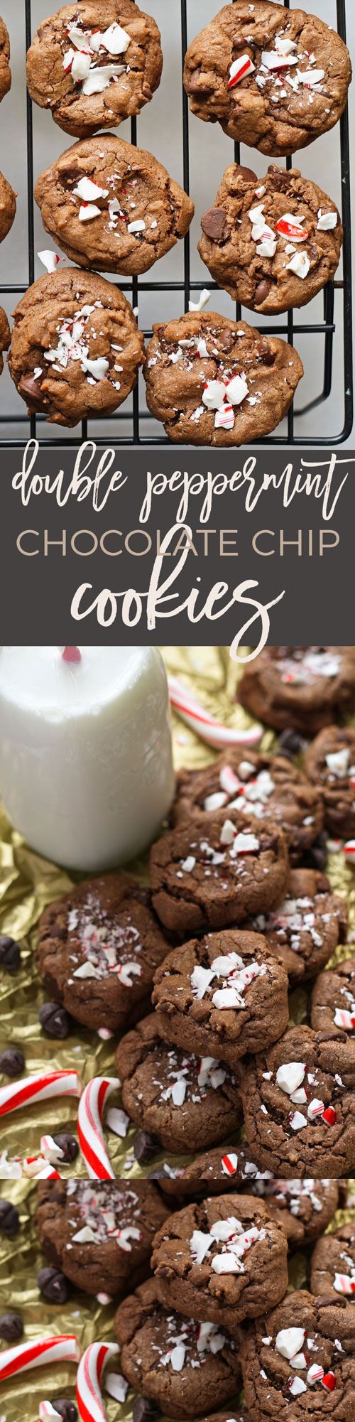 Double Peppermint Chocolate Chip Cookies