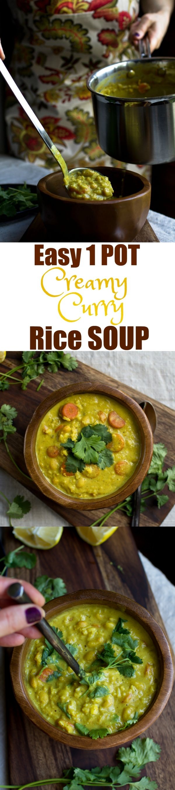 Easy 1 Pot Creamy Curry Rice Soup